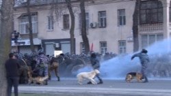 Полиция силой разогнала протесты в Бишкеке